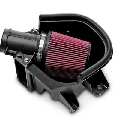 La ingesta de aire frío Roush (10-14 GT)